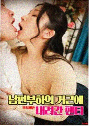 妙妙屋动漫相关资讯配图二